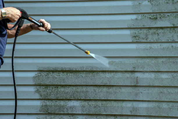 Best Gutter Cleaning  in Three Rivers, TX